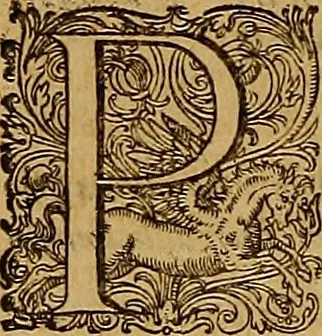 An illustration from Hispaniae illvstratæ; sev. Rervm. vrbivmq. Hispaniæ, Lvsitaniæ, Æthiopiæ et Indiæ scriptores varii., 1603, leaf 973