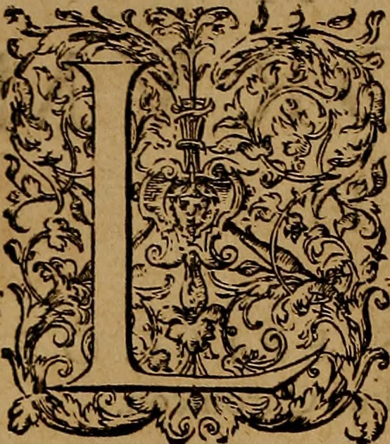 An illustration from Hispaniae illvstratæ; sev. Rervm. vrbivmq. Hispaniæ, Lvsitaniæ, Æthiopiæ et Indiæ scriptores varii., 1603, leaf 1009