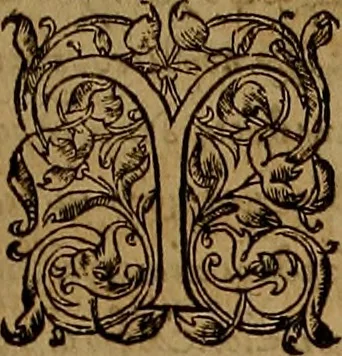 An illustration from Hispaniae illvstratæ; sev. Rervm. vrbivmq. Hispaniæ, Lvsitaniæ, Æthiopiæ et Indiæ scriptores varii., 1603, leaf 1010
