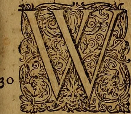 An illustration from Hispaniae illvstratæ; sev. Rervm. vrbivmq. Hispaniæ, Lvsitaniæ, Æthiopiæ et Indiæ scriptores varii., 1603, leaf 1018
