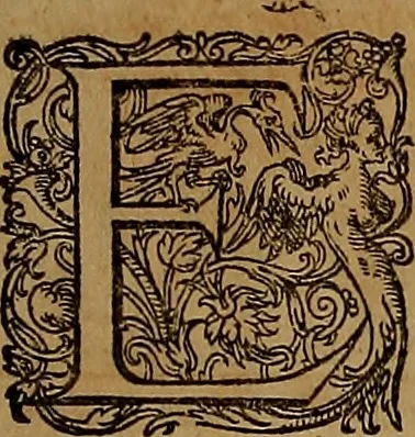 An illustration from Hispaniae illvstratæ; sev. Rervm. vrbivmq. Hispaniæ, Lvsitaniæ, Æthiopiæ et Indiæ scriptores varii., 1603, leaf 1020