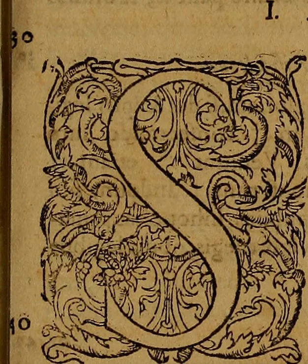 An illustration from Hispaniae illvstratæ; sev. Rervm. vrbivmq. Hispaniæ, Lvsitaniæ, Æthiopiæ et Indiæ scriptores varii., 1603, leaf 1022