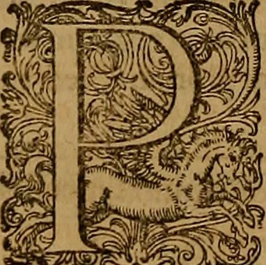 An illustration from Hispaniae illvstratæ; sev. Rervm. vrbivmq. Hispaniæ, Lvsitaniæ, Æthiopiæ et Indiæ scriptores varii., 1603, leaf 1025