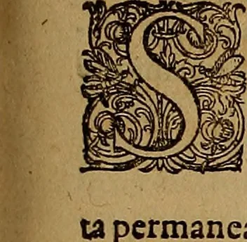 An illustration from Hispaniae illvstratæ; sev. Rervm. vrbivmq. Hispaniæ, Lvsitaniæ, Æthiopiæ et Indiæ scriptores varii., 1603, leaf 1096