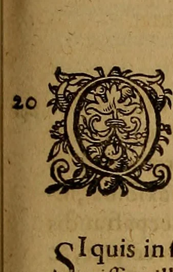 An illustration from Hispaniae illvstratæ; sev. Rervm. vrbivmq. Hispaniæ, Lvsitaniæ, Æthiopiæ et Indiæ scriptores varii., 1603, leaf 1116