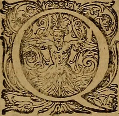 An illustration from Hispaniae illvstratæ; sev. Rervm. vrbivmq. Hispaniæ, Lvsitaniæ, Æthiopiæ et Indiæ scriptores varii., 1603, leaf 1159
