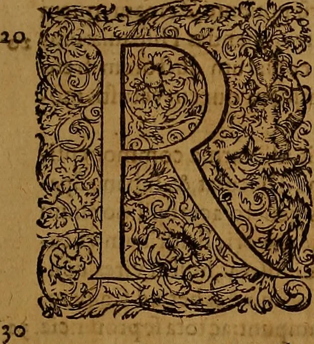 An illustration from Hispaniae illvstratæ; sev. Rervm. vrbivmq. Hispaniæ, Lvsitaniæ, Æthiopiæ et Indiæ scriptores varii., 1603, leaf 16