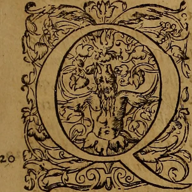 An illustration from Hispaniae illvstratæ; sev. Rervm. vrbivmq. Hispaniæ, Lvsitaniæ, Æthiopiæ et Indiæ scriptores varii., 1603, leaf 300