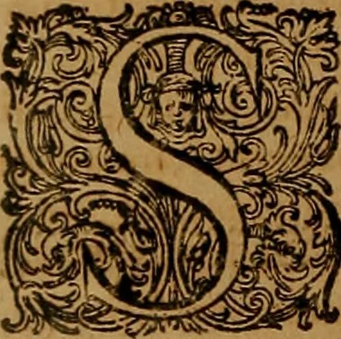 An illustration from Hispaniae illvstratæ; sev. Rervm. vrbivmq. Hispaniæ, Lvsitaniæ, Æthiopiæ et Indiæ scriptores varii., 1603, leaf 315