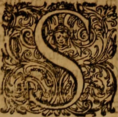 An illustration from Hispaniae illvstratæ; sev. Rervm. vrbivmq. Hispaniæ, Lvsitaniæ, Æthiopiæ et Indiæ scriptores varii., 1603, leaf 347