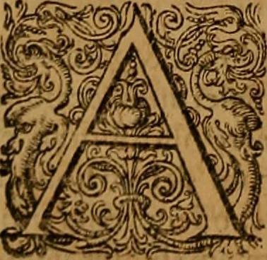 An illustration from Hispaniae illvstratæ; sev. Rervm. vrbivmq. Hispaniæ, Lvsitaniæ, Æthiopiæ et Indiæ scriptores varii., 1603, leaf 361