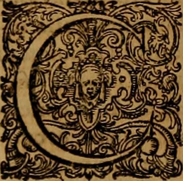 An illustration from Hispaniae illvstratæ; sev. Rervm. vrbivmq. Hispaniæ, Lvsitaniæ, Æthiopiæ et Indiæ scriptores varii., 1603, leaf 367