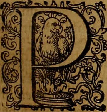 An illustration from Hispaniae illvstratæ; sev. Rervm. vrbivmq. Hispaniæ, Lvsitaniæ, Æthiopiæ et Indiæ scriptores varii., 1603, leaf 386