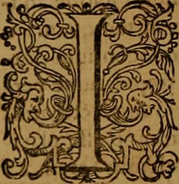 An illustration from Hispaniae illvstratæ; sev. Rervm. vrbivmq. Hispaniæ, Lvsitaniæ, Æthiopiæ et Indiæ scriptores varii., 1603, leaf 389
