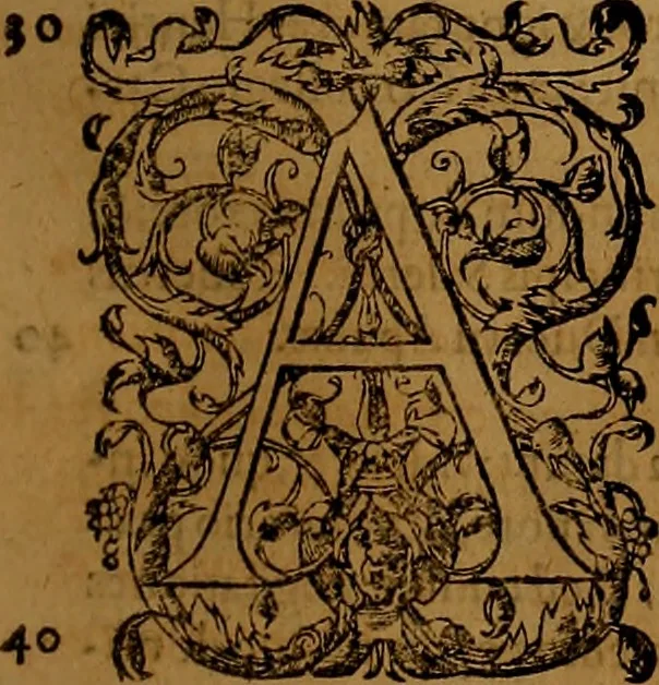An illustration from Hispaniae illvstratæ; sev. Rervm. vrbivmq. Hispaniæ, Lvsitaniæ, Æthiopiæ et Indiæ scriptores varii., 1603, leaf 390