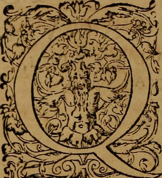 An illustration from Hispaniae illvstratæ; sev. Rervm. vrbivmq. Hispaniæ, Lvsitaniæ, Æthiopiæ et Indiæ scriptores varii., 1603, leaf 401