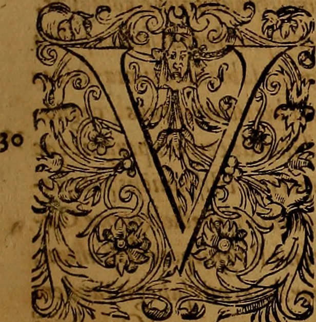 An illustration from Hispaniae illvstratæ; sev. Rervm. vrbivmq. Hispaniæ, Lvsitaniæ, Æthiopiæ et Indiæ scriptores varii., 1603, leaf 402