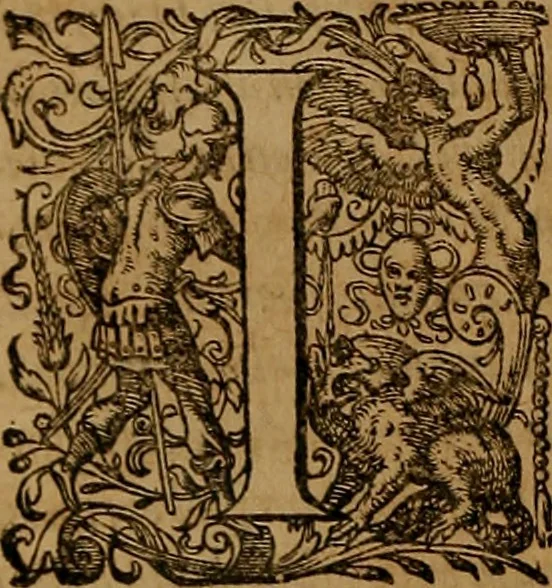 An illustration from Hispaniae illvstratæ; sev. Rervm. vrbivmq. Hispaniæ, Lvsitaniæ, Æthiopiæ et Indiæ scriptores varii., 1603, leaf 405