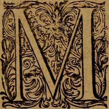 An illustration from Hispaniae illvstratæ; sev. Rervm. vrbivmq. Hispaniæ, Lvsitaniæ, Æthiopiæ et Indiæ scriptores varii., 1603, leaf 415