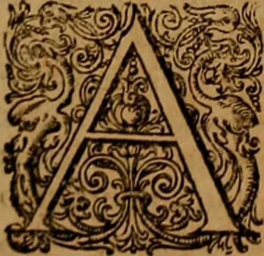 An illustration from Hispaniae illvstratæ; sev. Rervm. vrbivmq. Hispaniæ, Lvsitaniæ, Æthiopiæ et Indiæ scriptores varii., 1603, leaf 441