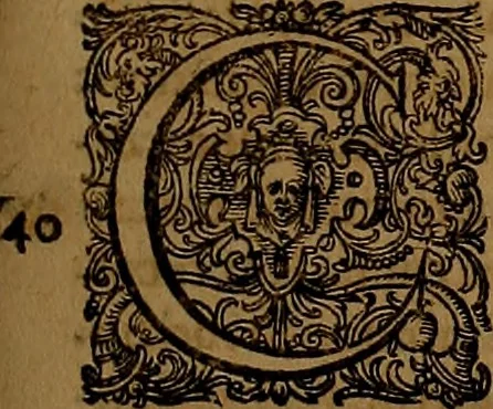 An illustration from Hispaniae illvstratæ; sev. Rervm. vrbivmq. Hispaniæ, Lvsitaniæ, Æthiopiæ et Indiæ scriptores varii., 1603, leaf 448