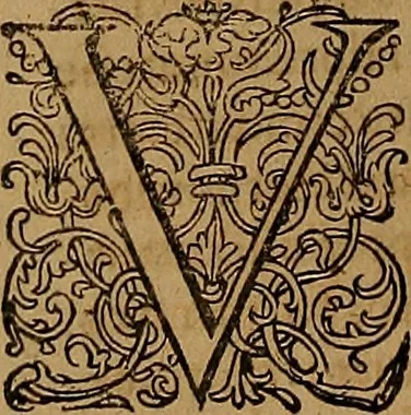 An illustration from Hispaniae illvstratæ; sev. Rervm. vrbivmq. Hispaniæ, Lvsitaniæ, Æthiopiæ et Indiæ scriptores varii., 1603, leaf 455