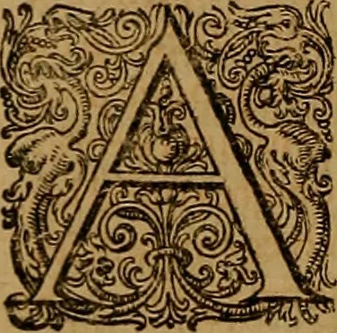 An illustration from Hispaniae illvstratæ; sev. Rervm. vrbivmq. Hispaniæ, Lvsitaniæ, Æthiopiæ et Indiæ scriptores varii., 1603, leaf 471