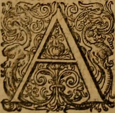 An illustration from Hispaniae illvstratæ; sev. Rervm. vrbivmq. Hispaniæ, Lvsitaniæ, Æthiopiæ et Indiæ scriptores varii., 1603, leaf 481