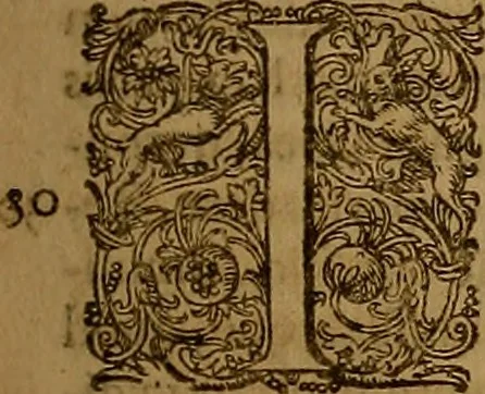 An illustration from Hispaniae illvstratæ; sev. Rervm. vrbivmq. Hispaniæ, Lvsitaniæ, Æthiopiæ et Indiæ scriptores varii., 1603, leaf 492