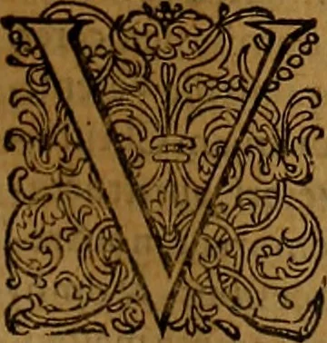An illustration from Hispaniae illvstratæ; sev. Rervm. vrbivmq. Hispaniæ, Lvsitaniæ, Æthiopiæ et Indiæ scriptores varii., 1603, leaf 502