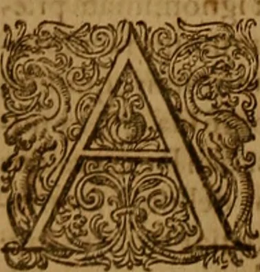 An illustration from Hispaniae illvstratæ; sev. Rervm. vrbivmq. Hispaniæ, Lvsitaniæ, Æthiopiæ et Indiæ scriptores varii., 1603, leaf 521