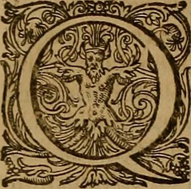 An illustration from Hispaniae illvstratæ; sev. Rervm. vrbivmq. Hispaniæ, Lvsitaniæ, Æthiopiæ et Indiæ scriptores varii., 1603, leaf 531