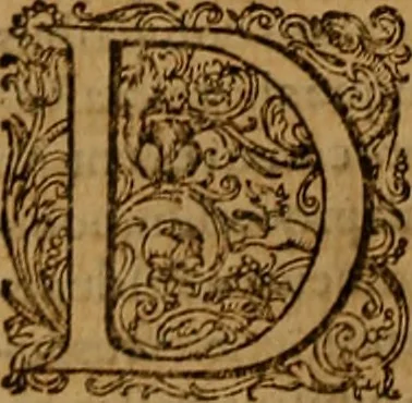 An illustration from Hispaniae illvstratæ; sev. Rervm. vrbivmq. Hispaniæ, Lvsitaniæ, Æthiopiæ et Indiæ scriptores varii., 1603, leaf 549