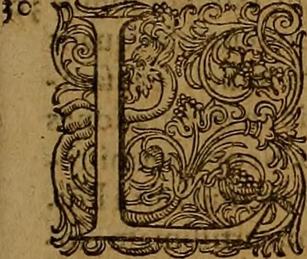 An illustration from Hispaniae illvstratæ; sev. Rervm. vrbivmq. Hispaniæ, Lvsitaniæ, Æthiopiæ et Indiæ scriptores varii., 1603, leaf 566