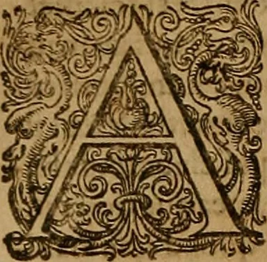 An illustration from Hispaniae illvstratæ; sev. Rervm. vrbivmq. Hispaniæ, Lvsitaniæ, Æthiopiæ et Indiæ scriptores varii., 1603, leaf 575
