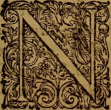 An illustration from Hispaniae illvstratæ; sev. Rervm. vrbivmq. Hispaniæ, Lvsitaniæ, Æthiopiæ et Indiæ scriptores varii., 1603, leaf 584