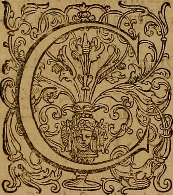 An illustration from Hispaniae illvstratæ; sev. Rervm. vrbivmq. Hispaniæ, Lvsitaniæ, Æthiopiæ et Indiæ scriptores varii., 1603, leaf 585