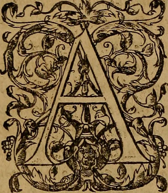 An illustration from Hispaniae illvstratæ; sev. Rervm. vrbivmq. Hispaniæ, Lvsitaniæ, Æthiopiæ et Indiæ scriptores varii., 1603, leaf 589
