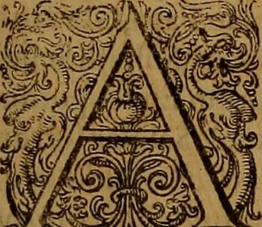 An illustration from Hispaniae illvstratæ; sev. Rervm. vrbivmq. Hispaniæ, Lvsitaniæ, Æthiopiæ et Indiæ scriptores varii., 1603, leaf 594
