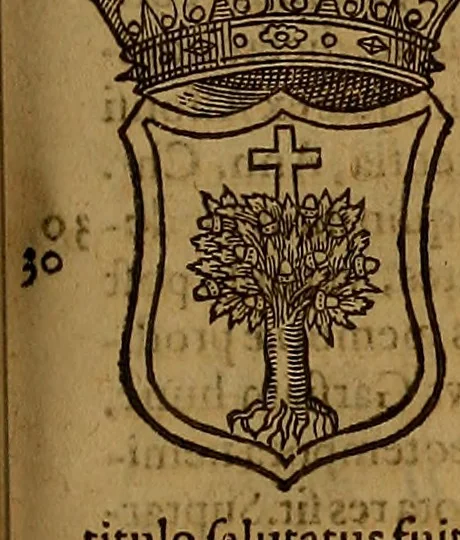 An illustration from Hispaniae illvstratæ; sev. Rervm. vrbivmq. Hispaniæ, Lvsitaniæ, Æthiopiæ et Indiæ scriptores varii., 1603, leaf 600