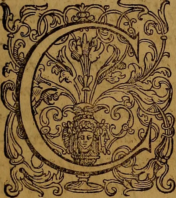 An illustration from Hispaniae illvstratæ; sev. Rervm. vrbivmq. Hispaniæ, Lvsitaniæ, Æthiopiæ et Indiæ scriptores varii., 1603, leaf 8