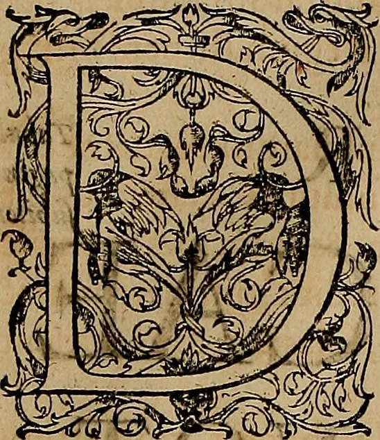 An illustration from Hispaniae illvstratæ; sev. Rervm. vrbivmq. Hispaniæ, Lvsitaniæ, Æthiopiæ et Indiæ scriptores varii., 1603, leaf 859