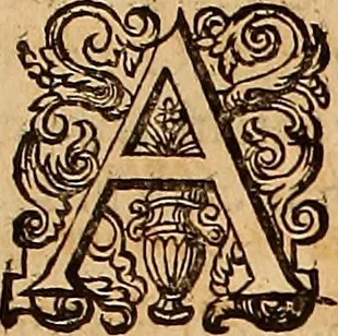 An illustration from Hispaniae illvstratæ; sev. Rervm. vrbivmq. Hispaniæ, Lvsitaniæ, Æthiopiæ et Indiæ scriptores varii., 1603, leaf 134