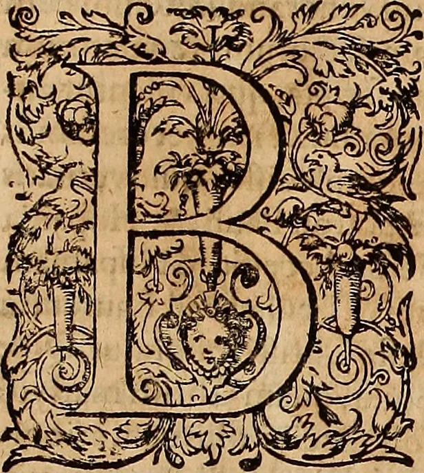 An illustration from Hispaniae illvstratæ; sev. Rervm. vrbivmq. Hispaniæ, Lvsitaniæ, Æthiopiæ et Indiæ scriptores varii., 1603, leaf 14