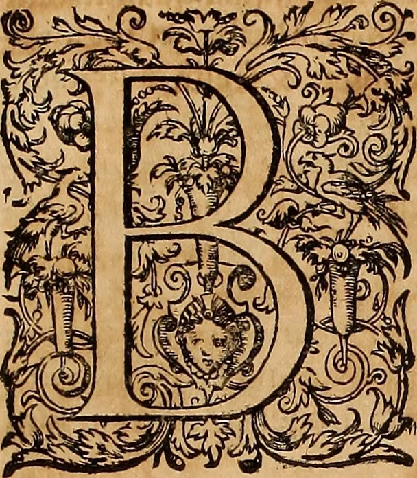 An illustration from Hispaniae illvstratæ; sev. Rervm. vrbivmq. Hispaniæ, Lvsitaniæ, Æthiopiæ et Indiæ scriptores varii., 1603, leaf 18