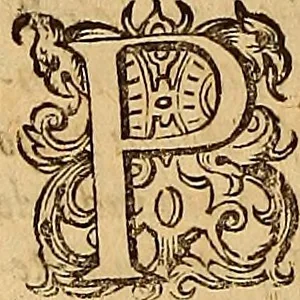 An illustration from Hispaniae illvstratæ; sev. Rervm. vrbivmq. Hispaniæ, Lvsitaniæ, Æthiopiæ et Indiæ scriptores varii., 1603, leaf 183