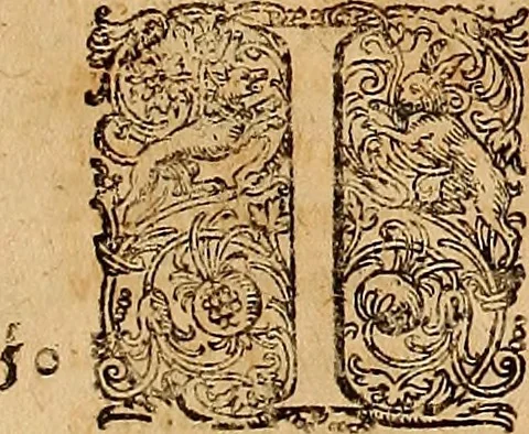 An illustration from Hispaniae illvstratæ; sev. Rervm. vrbivmq. Hispaniæ, Lvsitaniæ, Æthiopiæ et Indiæ scriptores varii., 1603, leaf 184
