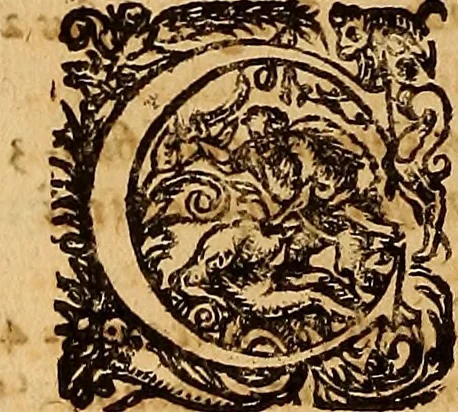 An illustration from Hispaniae illvstratæ; sev. Rervm. vrbivmq. Hispaniæ, Lvsitaniæ, Æthiopiæ et Indiæ scriptores varii., 1603, leaf 261