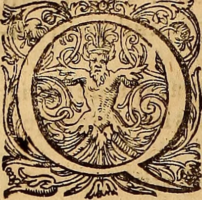 An illustration from Hispaniae illvstratæ; sev. Rervm. vrbivmq. Hispaniæ, Lvsitaniæ, Æthiopiæ et Indiæ scriptores varii., 1603, leaf 289