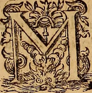 An illustration from Hispaniae illvstratæ; sev. Rervm. vrbivmq. Hispaniæ, Lvsitaniæ, Æthiopiæ et Indiæ scriptores varii., 1603, leaf 306